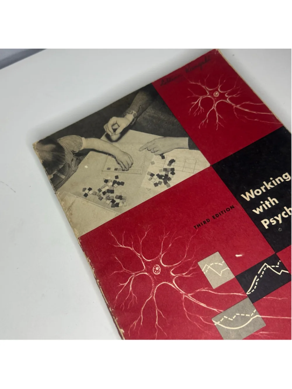 Vintage Working with Psychology Workbook 3rd Edition By Ruch & Warren